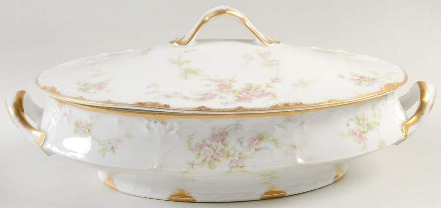 H5091 Oval Covered Vegetable by Haviland-1