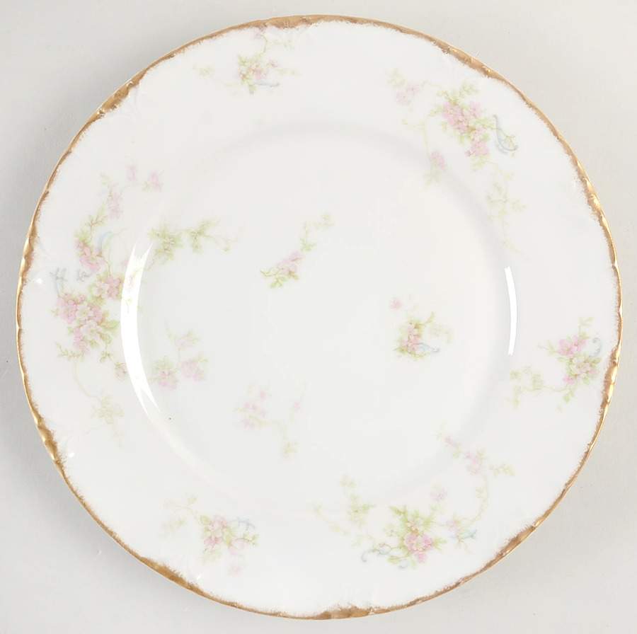 H5091 Dinner Plate by Haviland-1