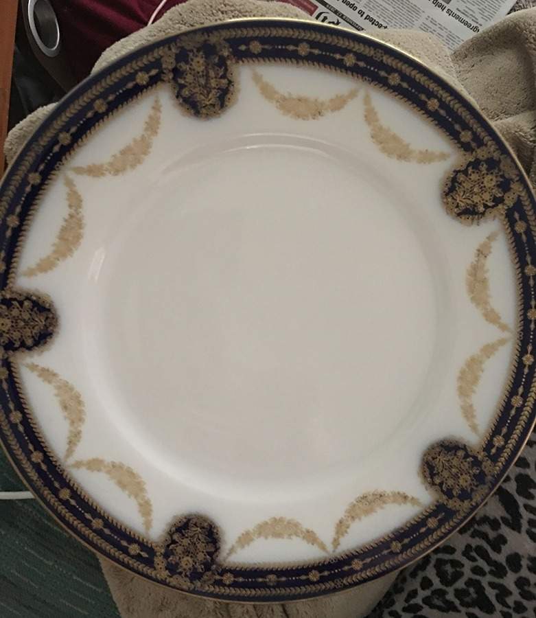 HUT3395 Dinner Plate by Hutschenreuther-1