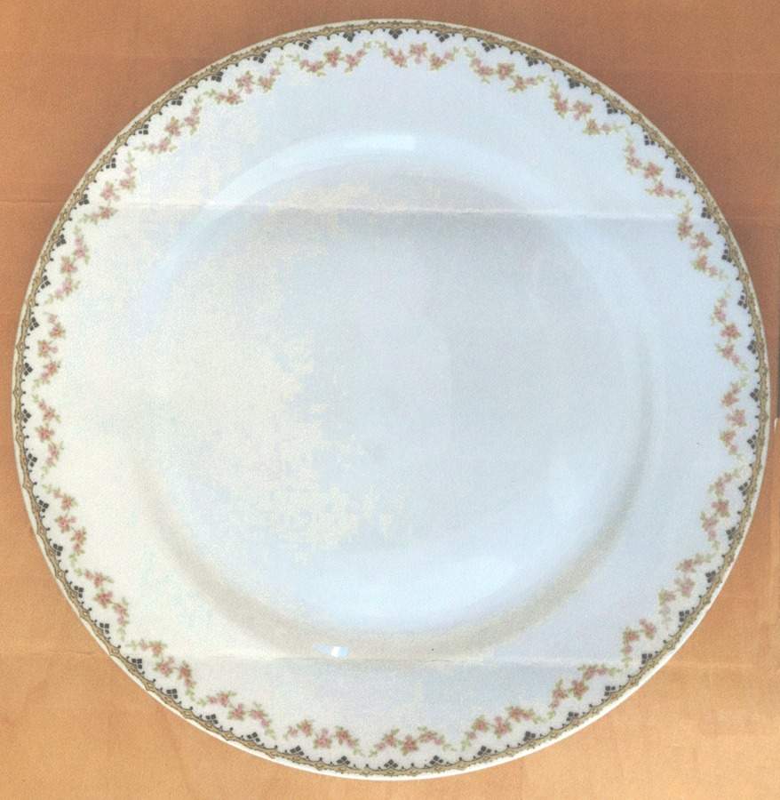 H160-1 Dinner Plate by Haviland-1