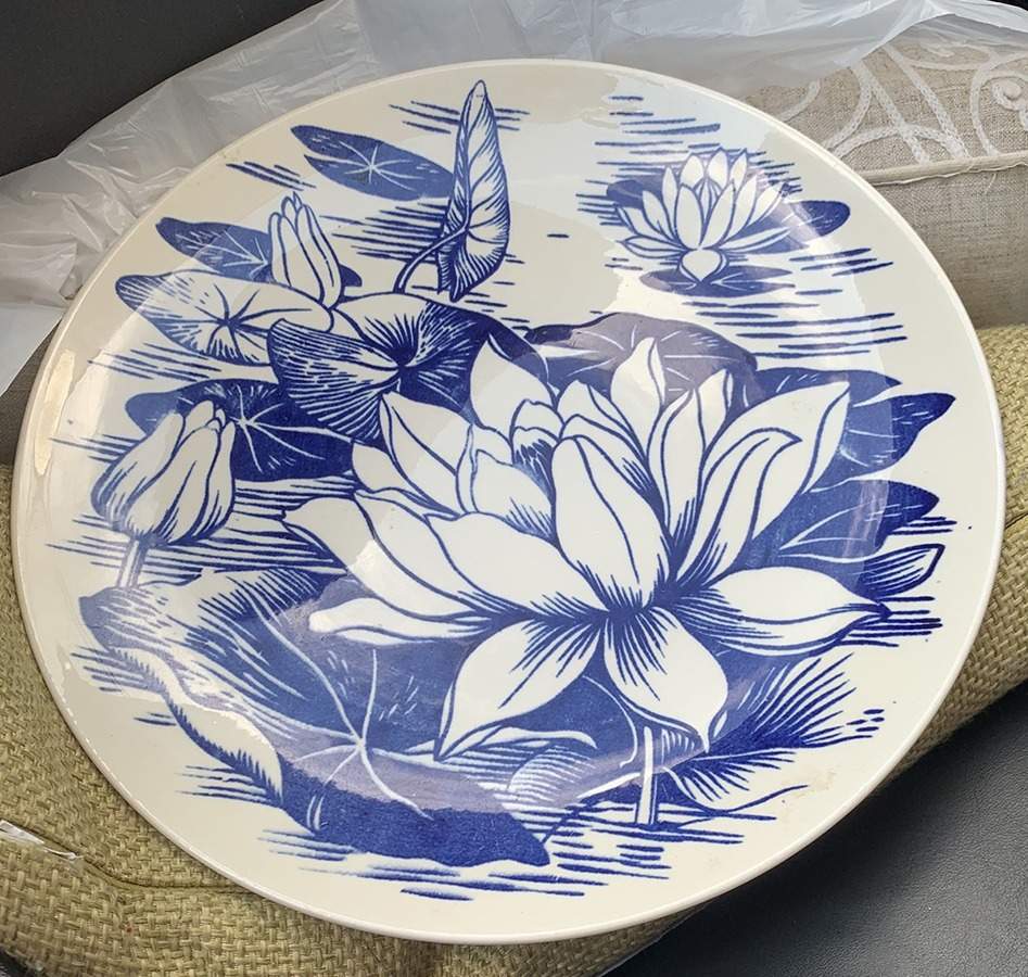 HLC4249 Dinner Plate by Homer Laughlin -1