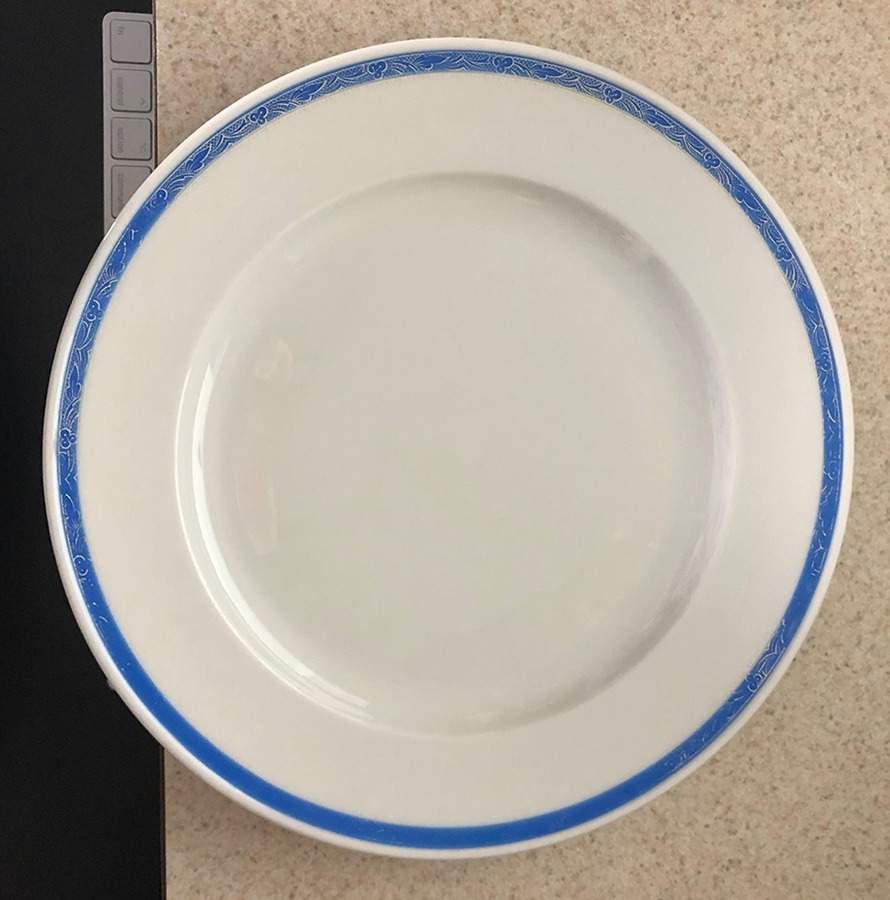 HUT2484 Dinner Plate by Hutschenreuther-1