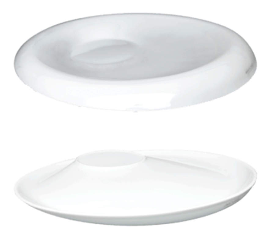Recto Verso 11" Risotto Plate by Haviland-1