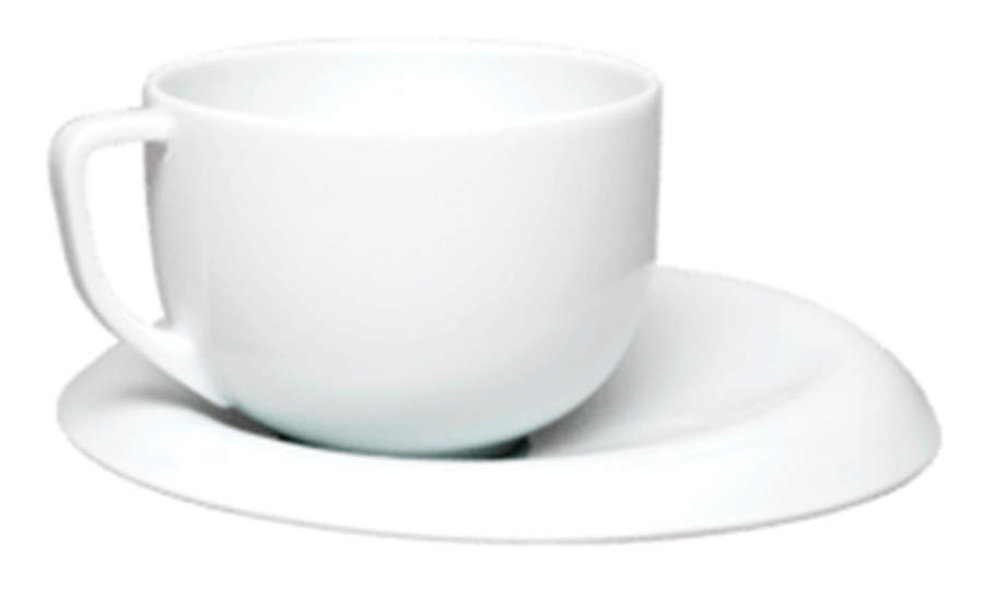 Recto Verso Flat Cup & Saucer Set by Haviland-1