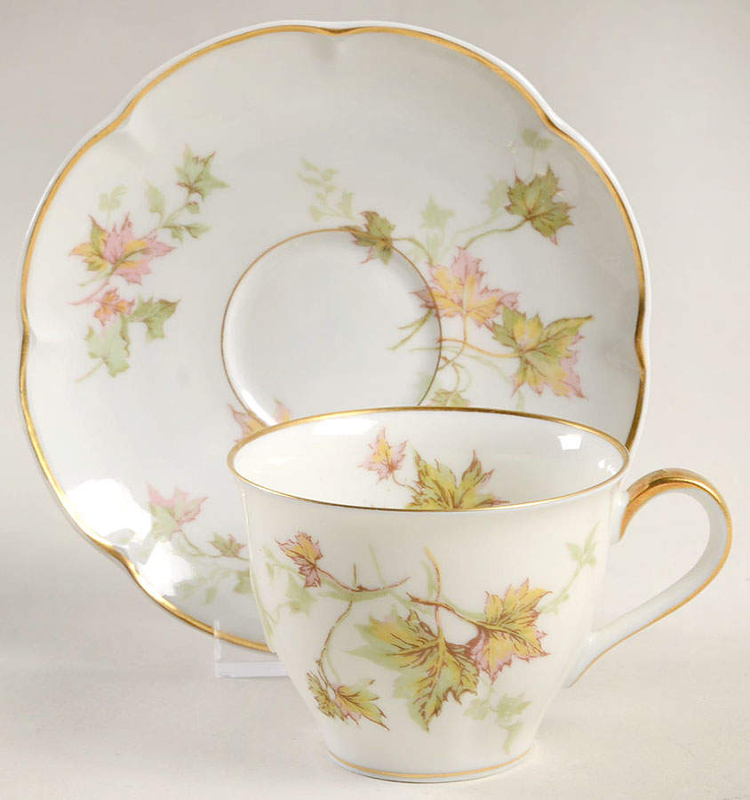 Autumn Leaf (Isle de France) Flat Demitasse Cup & Saucer Set by Haviland-1