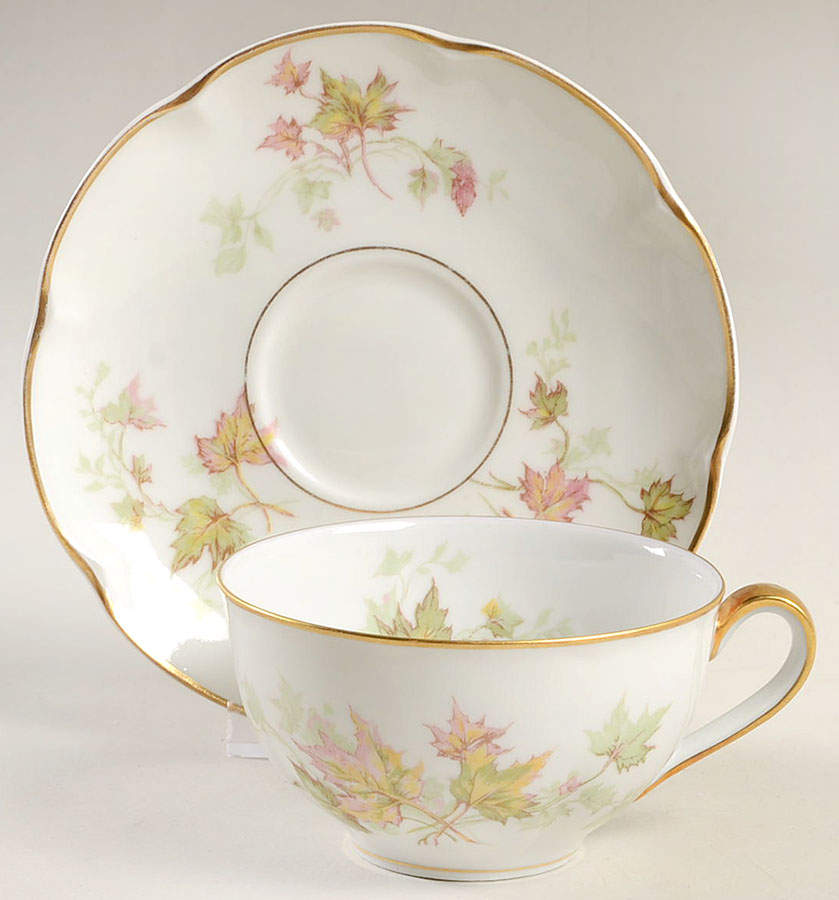 Autumn Leaf (Isle de France) Flat Cup & Saucer Set by Haviland-1