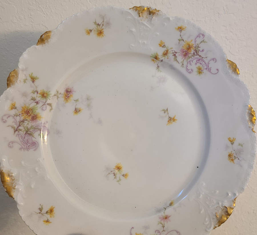 H5097 Dinner Plate by Haviland-1