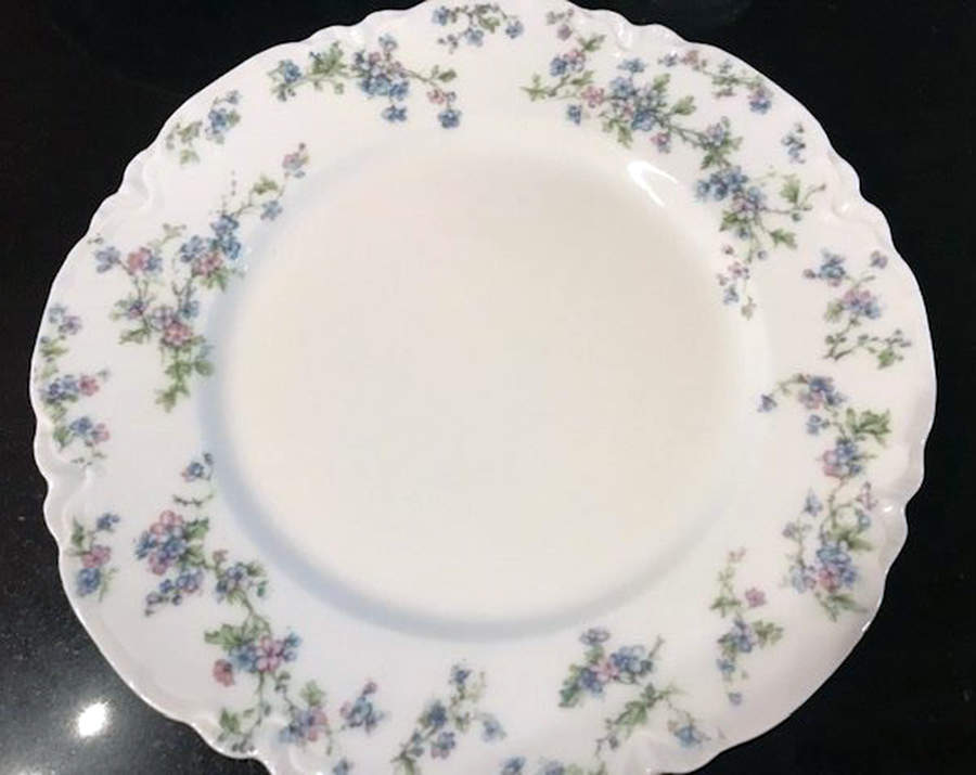 19123 Dinner Plate by Haviland-1