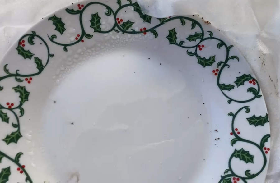 Holly Scroll Collection Dinner Plate by Home Essentials-1