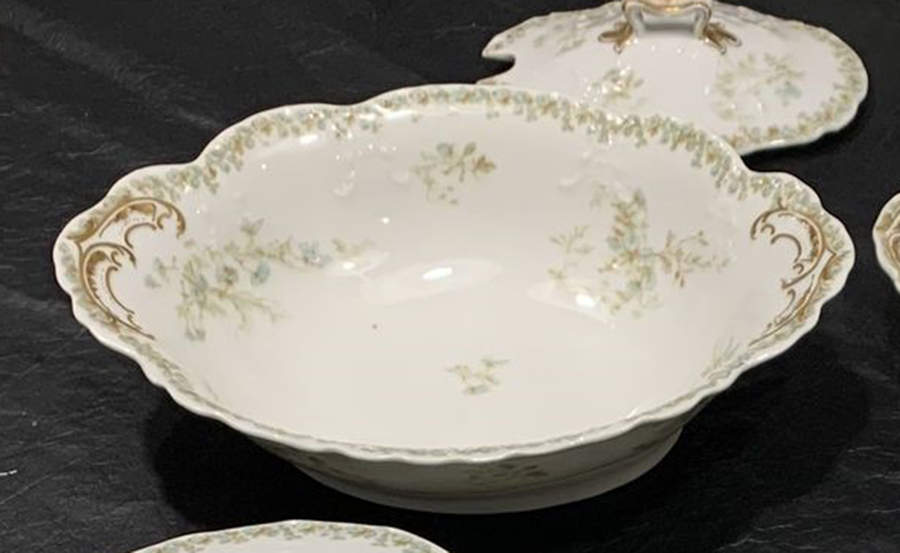 Sch1169-9 Oval Covered Vegetable by Haviland-1