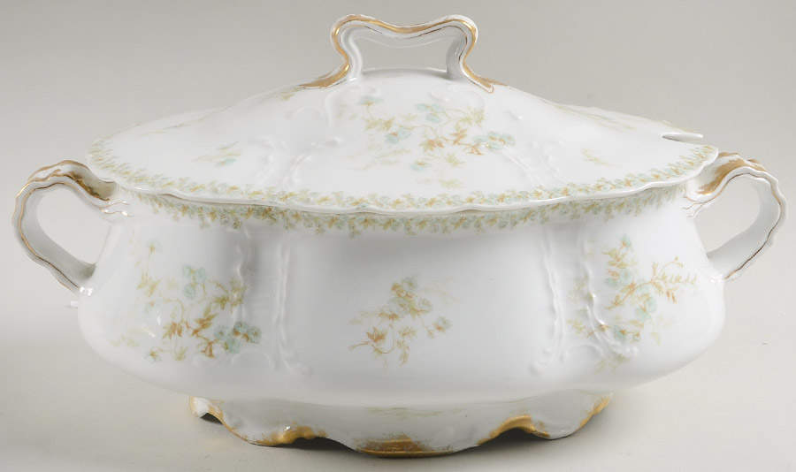 Sch1169-9 Oval Tureen & Lid by Haviland-1