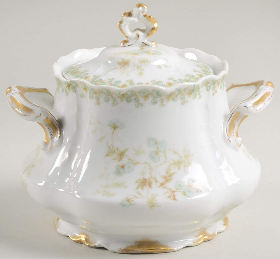 Sch1169-9 Sugar Bowl & Lid by Haviland-1