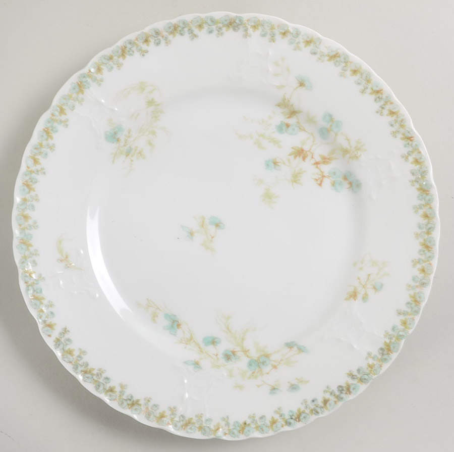 Sch1169-9 Luncheon Plate by Haviland-1