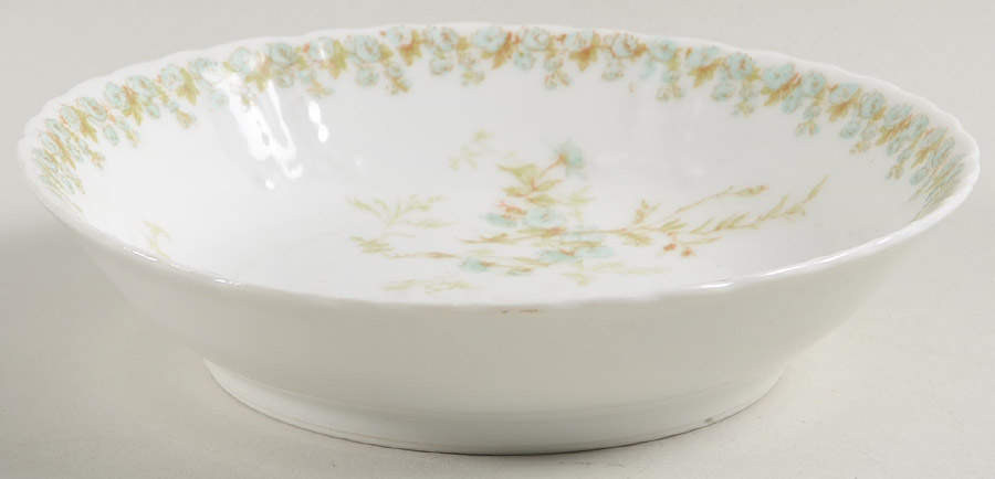 Sch1169-9 Fruit/Dessert (Sauce) Bowl by Haviland-1