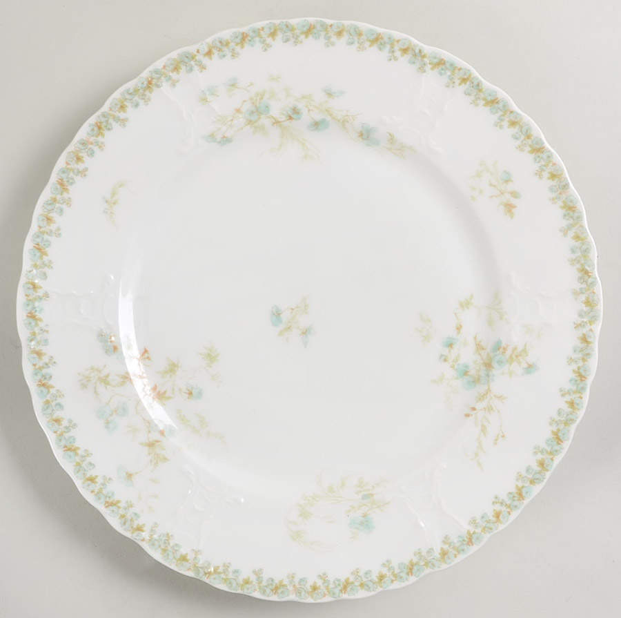 Sch1169-9 Dinner Plate by Haviland-1