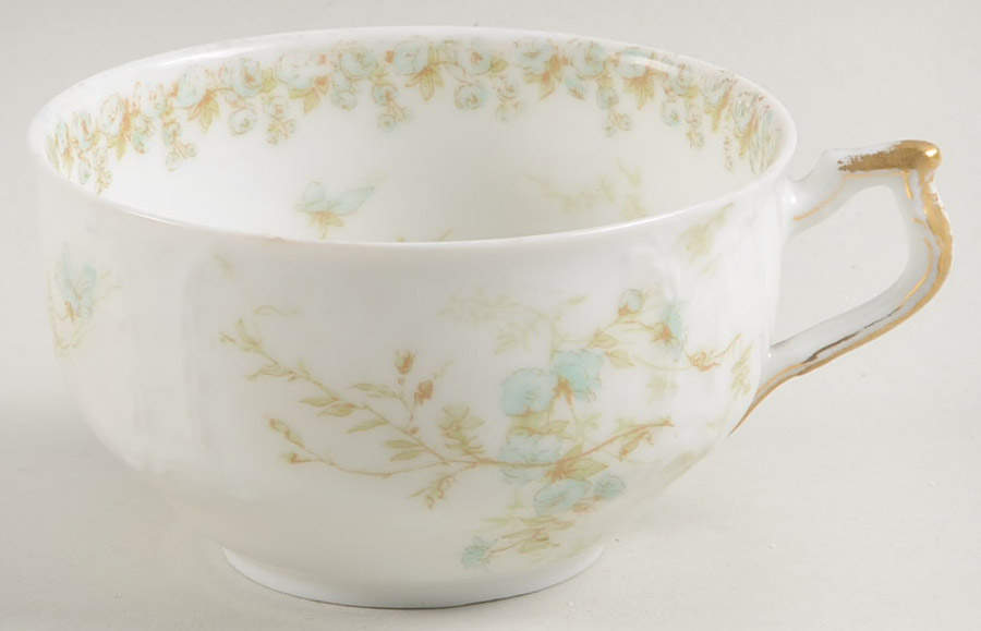 Sch1169-9 Footed Cup by Haviland-1