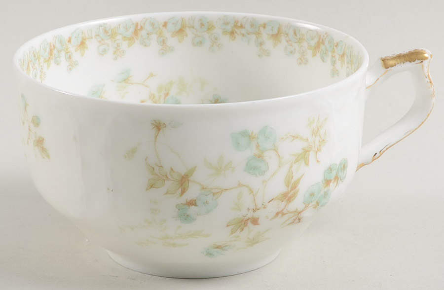 Sch1169-9 Flat Cup by Haviland-1