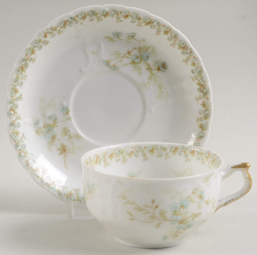 Sch1169-9 Footed Cup & Saucer Set by Haviland-1