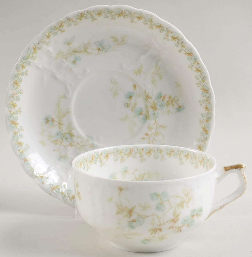 Sch1169-9 Flat Cup & Saucer Set by Haviland-1