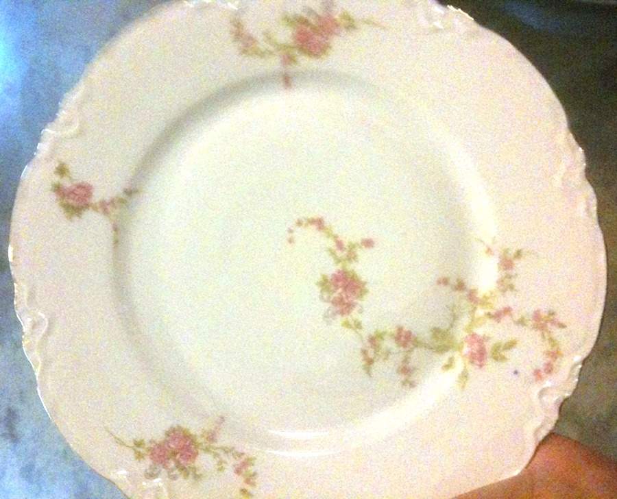 HUT3410 Dinner Plate by Hutschenreuther-1