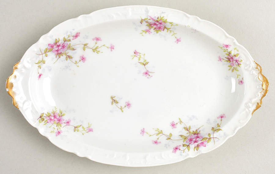 Schleiger 1021-7 9-Part Relish by Haviland-1