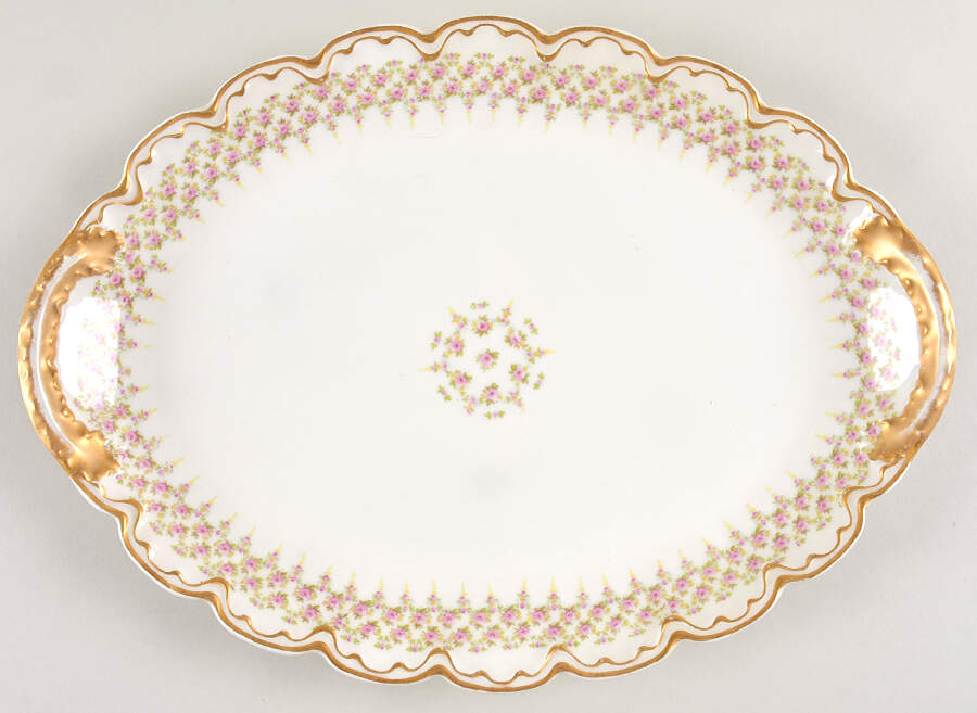 H6004 14" Oval Serving Platter by Haviland-1