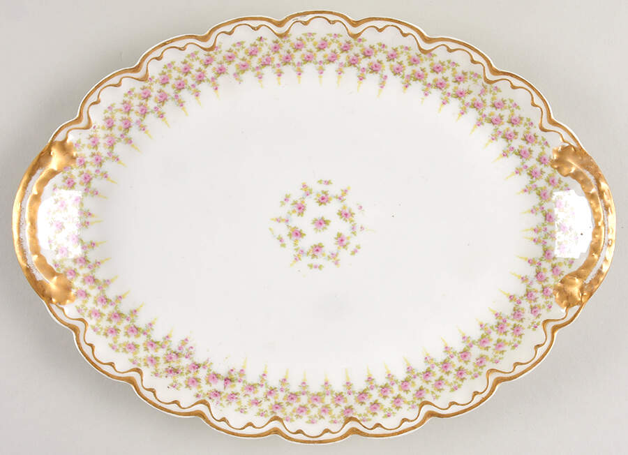 H6004 11" Oval Serving Platter by Haviland-1