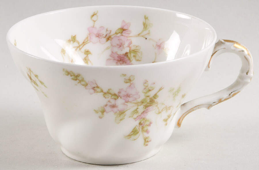 Sch451-5 Flat Cup by Haviland-1