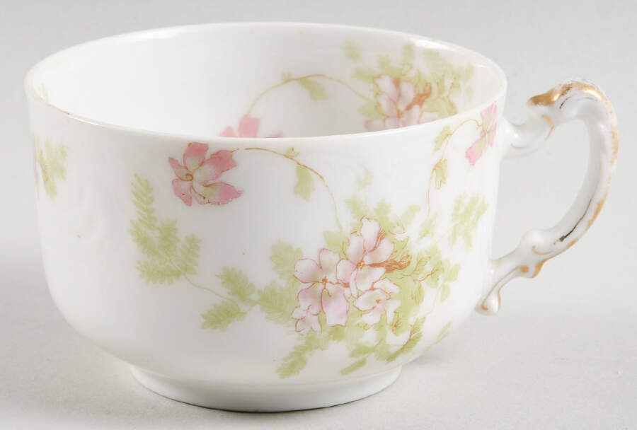 Schleiger 52-18 Flat Cup by Haviland-1