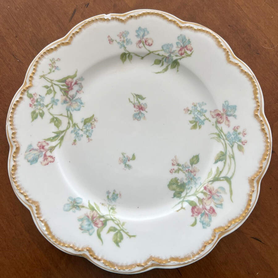 Sch1271 Dinner Plate by Haviland-1