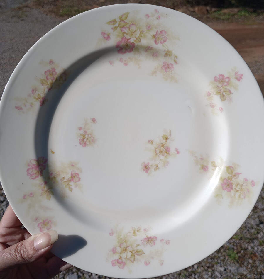 Sch1172-7 Dinner Plate by Haviland-1