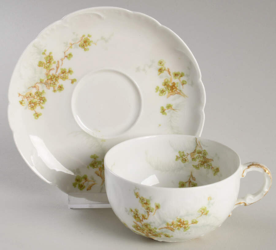Schleiger 1026-12 Flat Cup & Saucer Set by Haviland-1