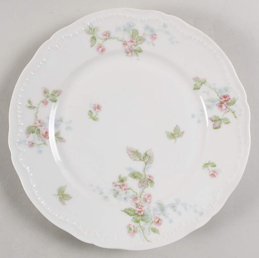 H5206 Dinner Plate by Haviland-1