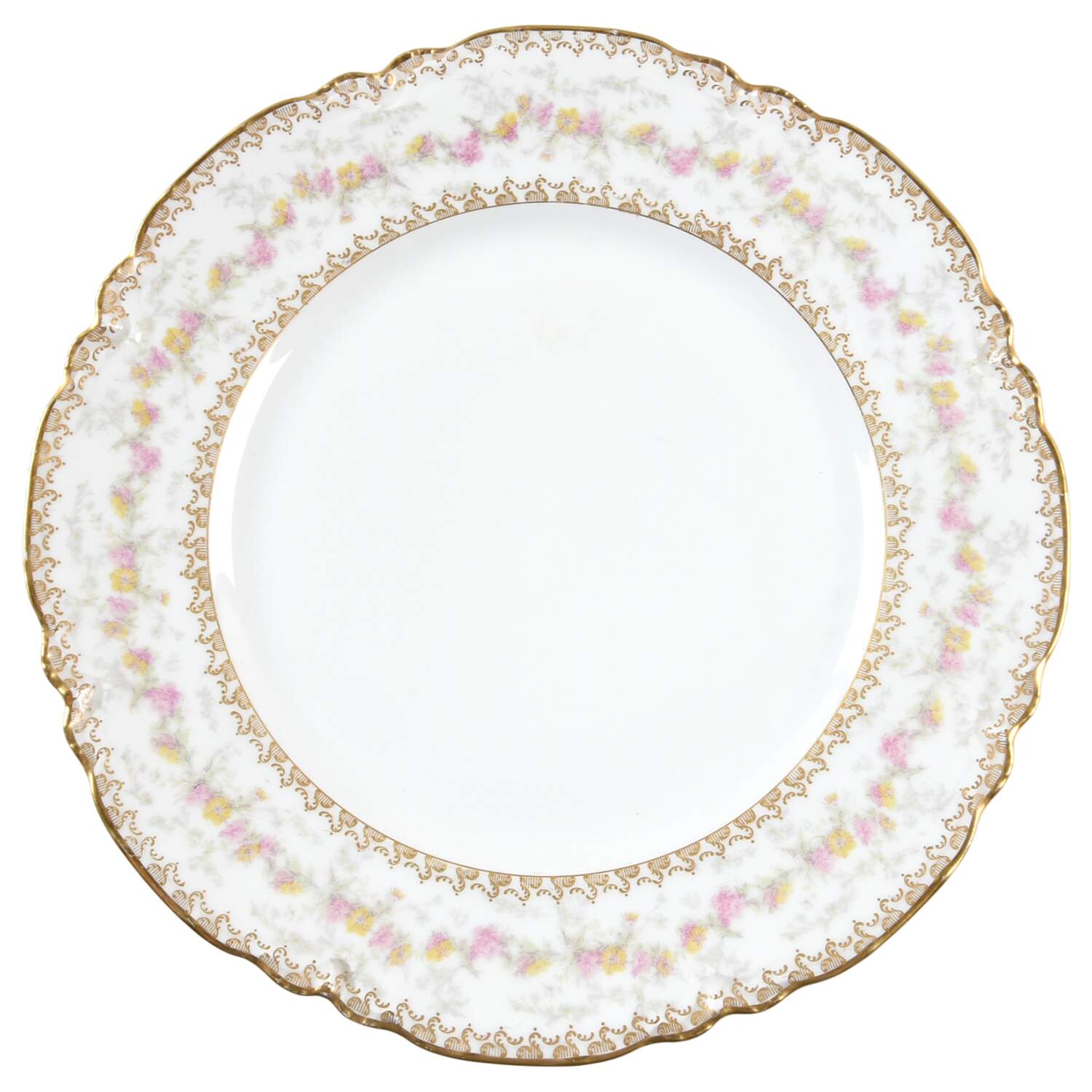 H5225 Dinner Plate by Haviland-1