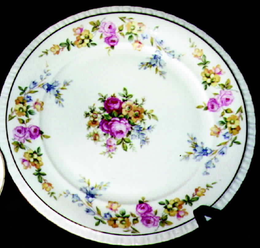 IMB6 Dinner Plate by Imperial Bohemian-1