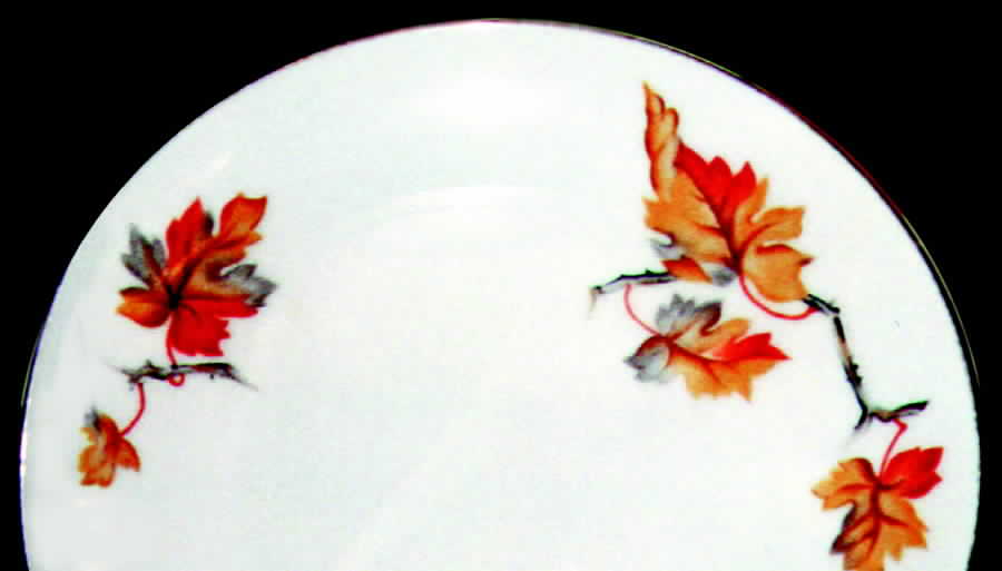 IMP25 Salad Plate by Imperial (Japan)-1