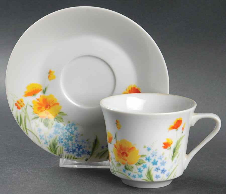 Just Spring Flat Cup & Saucer Set by Imperial (Japan)-1