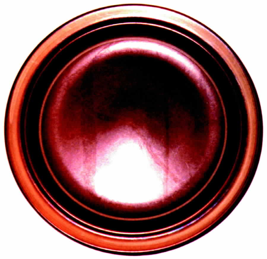 IND9 Dinner Plate by Independence-1