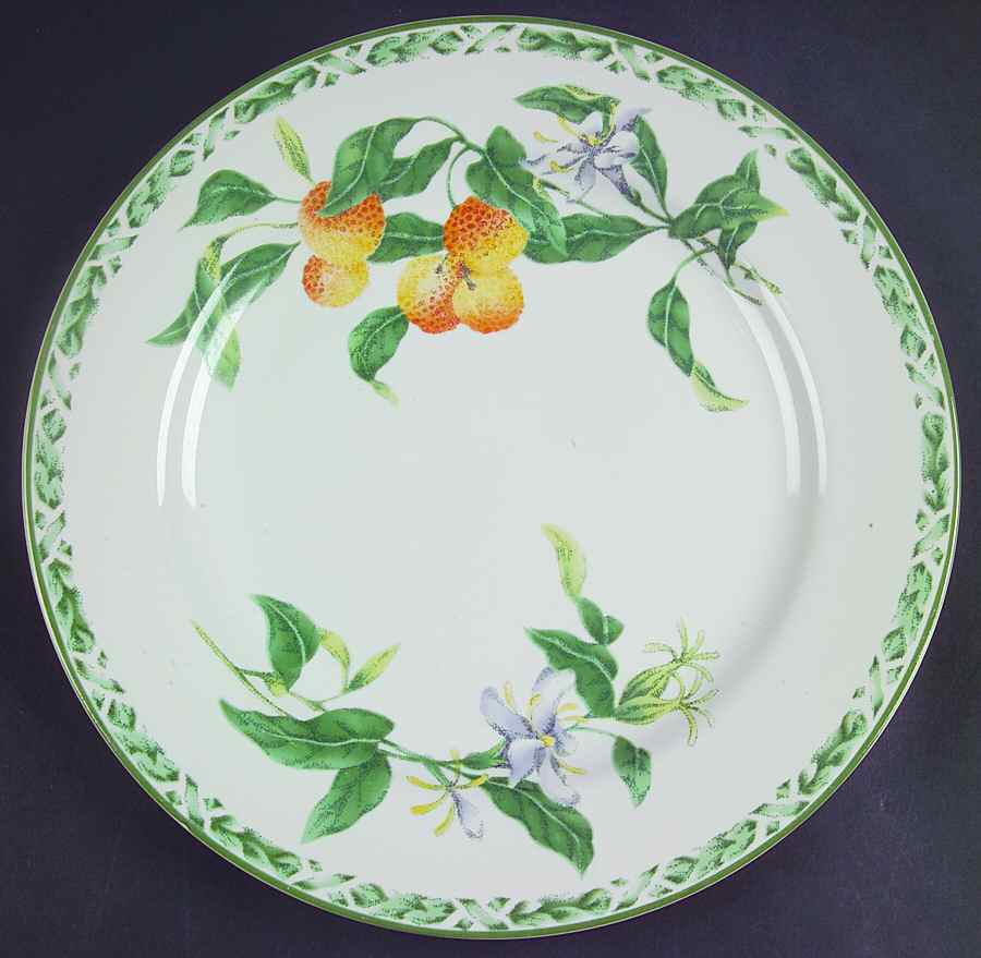 Nature Dinner Plate by Interiors (PTS)-1