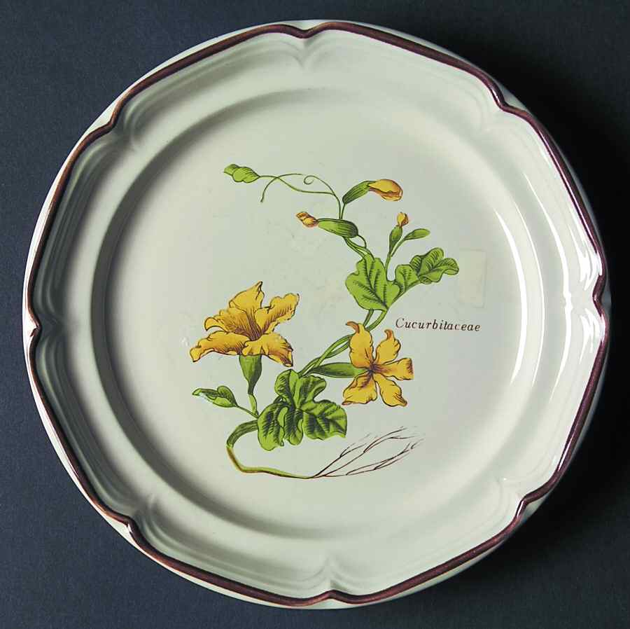 Bita Salad Plate by International-1