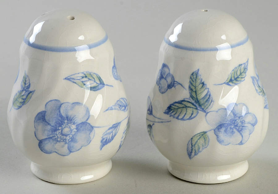 BRISTOL BLUE (Blue Trim) Salt & Pepper Set by International-1