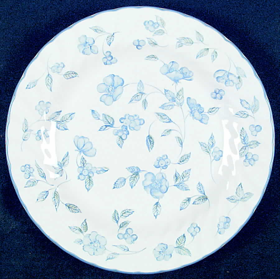 BRISTOL BLUE (Blue Trim) Dinner Plate by International-1