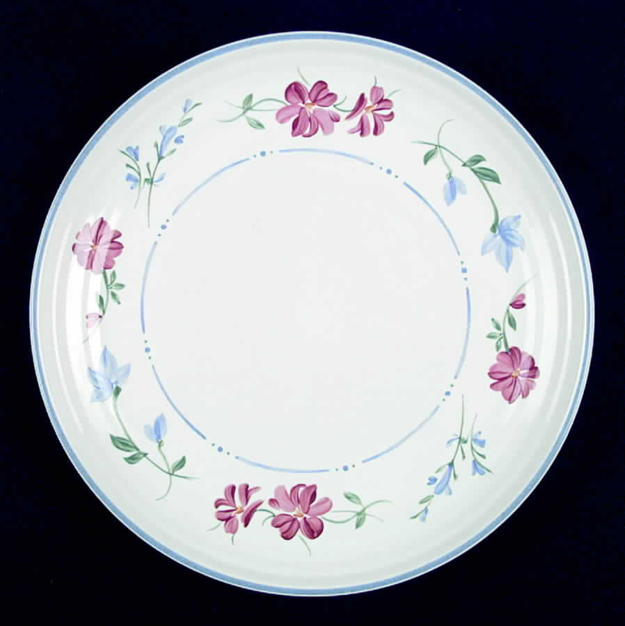 Cache Dinner Plate by International-1