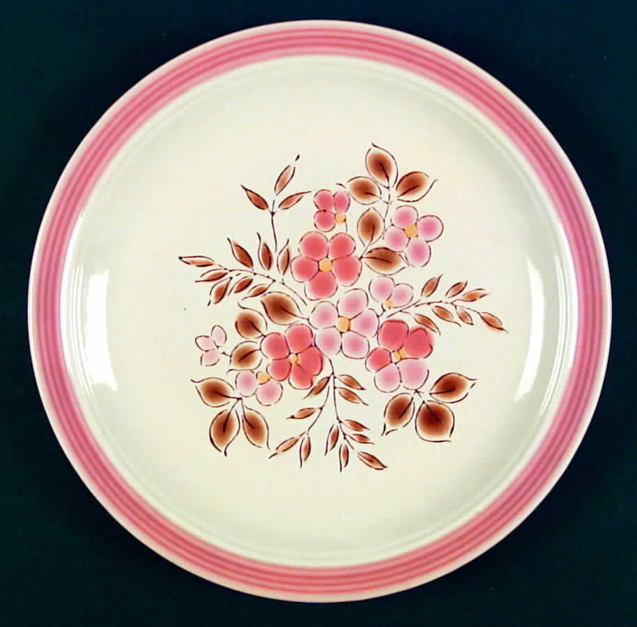 Cactus Flower Dinner Plate by International-1