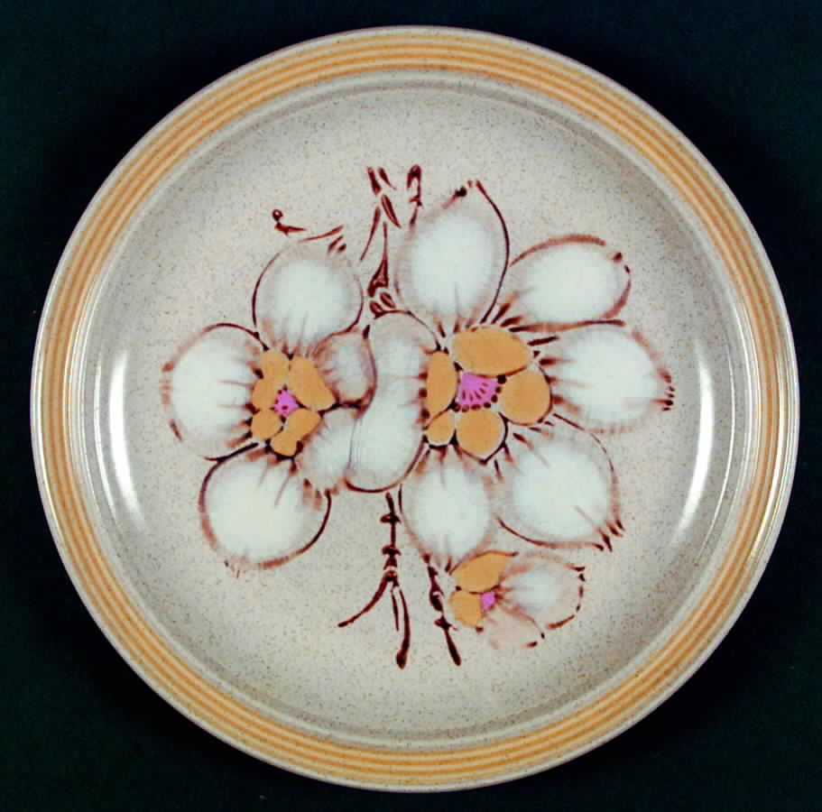 Carracas Dinner Plate by International-1