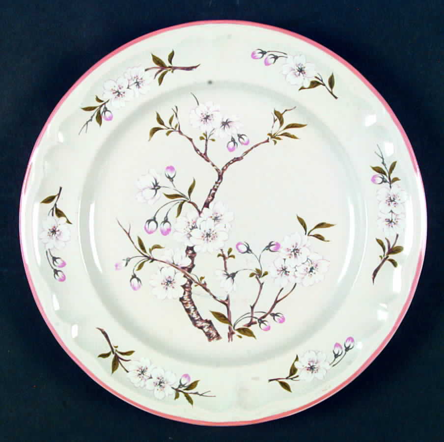 Cherry Hill Dinner Plate by International-1