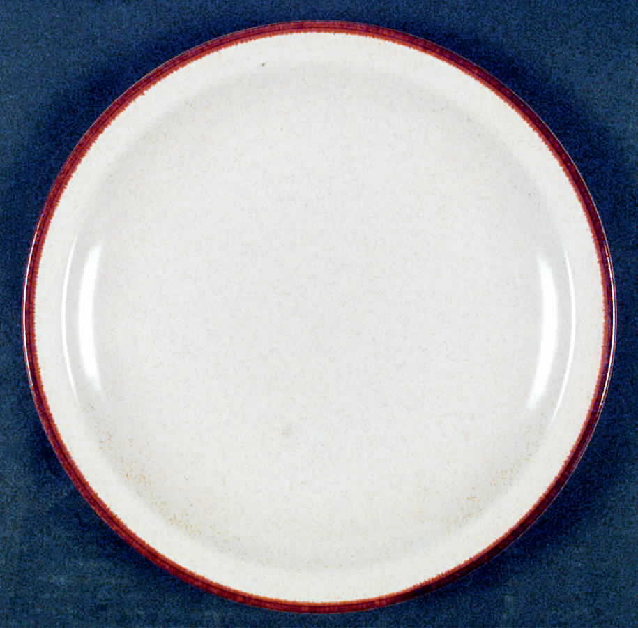 Cinnamon Dinner Plate by International-1