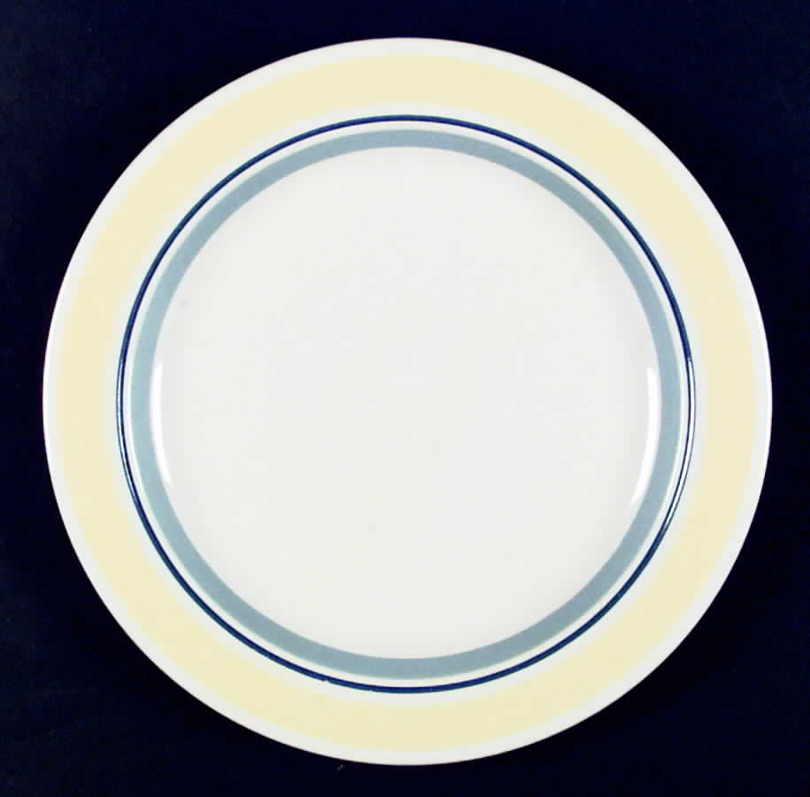 Clear Delight Dinner Plate by International-1