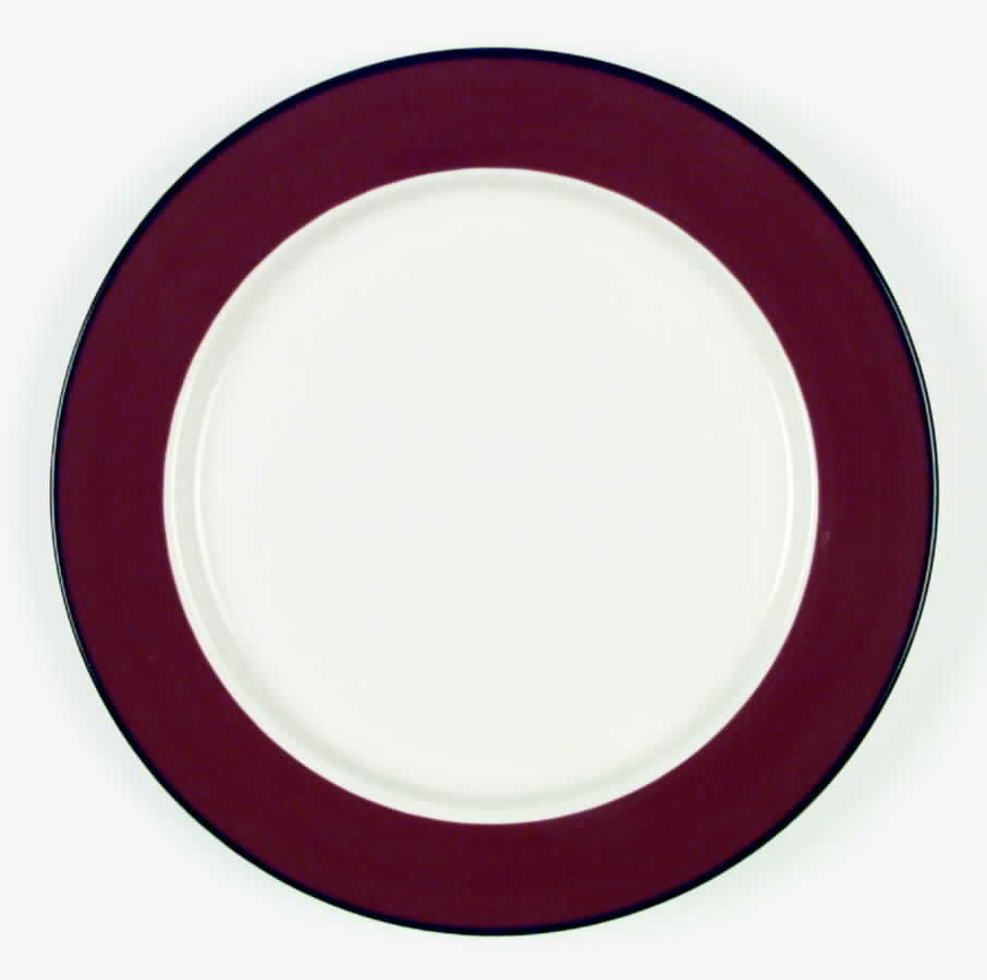 Colors of Celebration Terra Cotta Dinner Plate by International-1