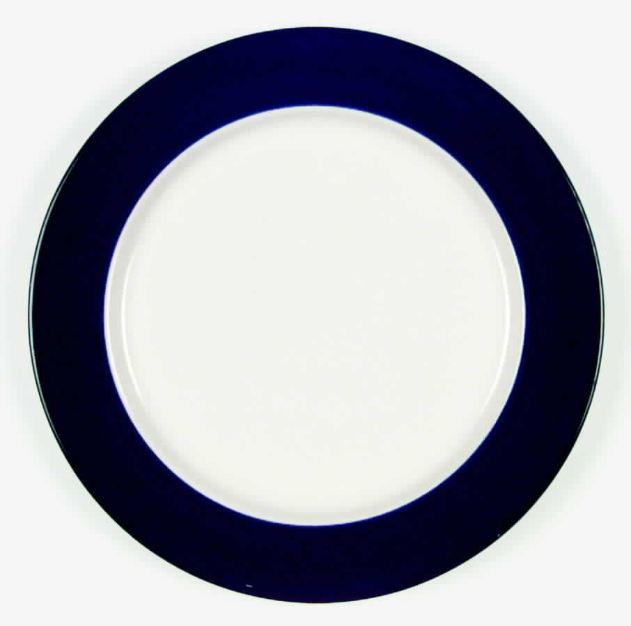 Colors of Celebration Cobalt Dinner Plate by International-1